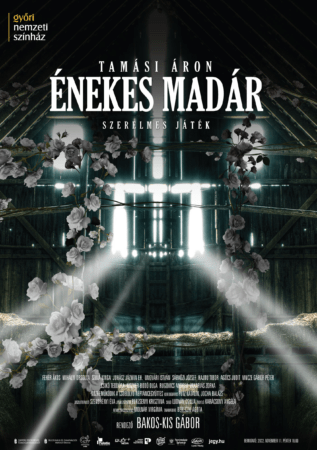 Énekesmadár